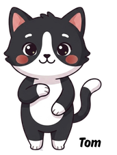 Tom, o gato mascote do Espaço Educar