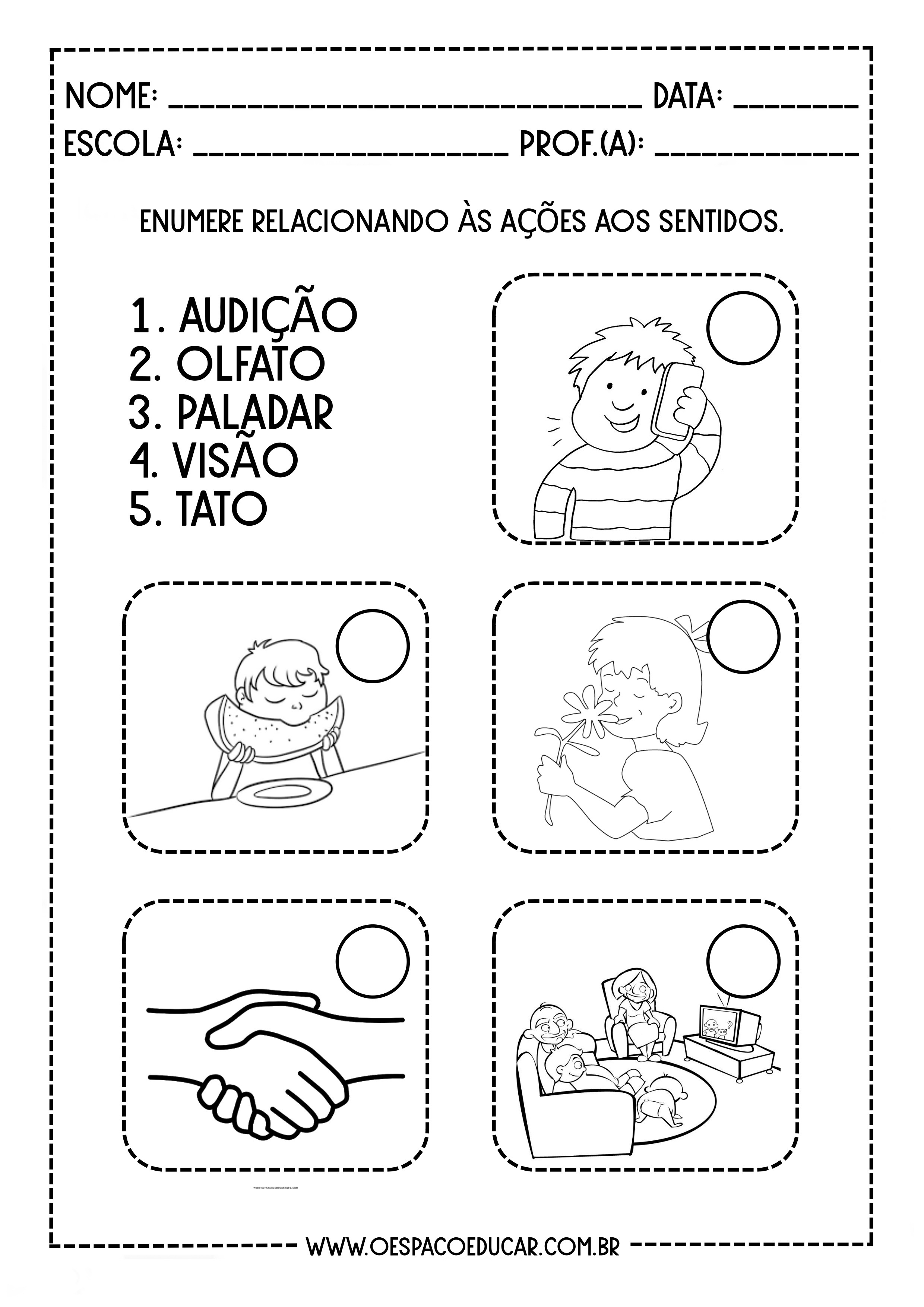 Atividades sobre Órgãos dos Sentidos para Educação Infantil  Educação  infantil, Atividades para educação infantil, Educação