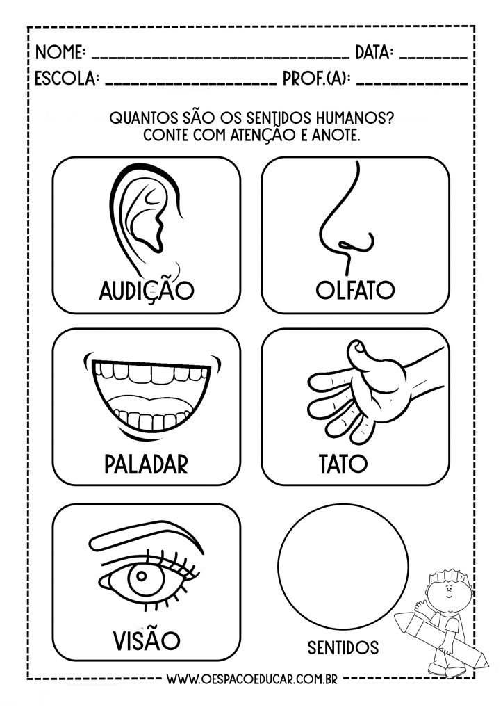 Atividades Sentidos Educa O Infantil E Maternal Para Imprimir