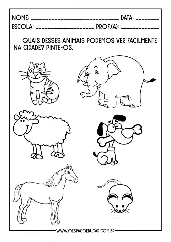 Educação Infantil: atividades abordando os animais - Blog Espaço Educar