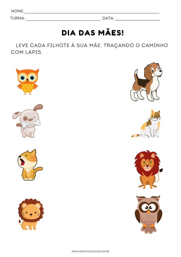 Educação Infantil: levando cada filhote até sua mamãe!