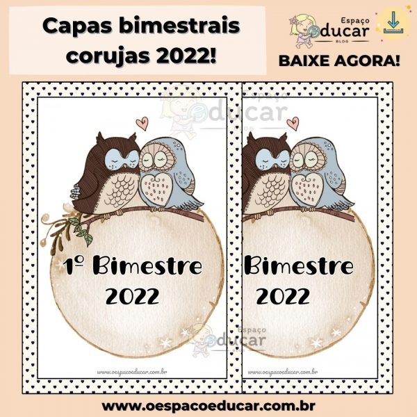 Capas bimestrais corujas 2022!