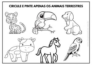 Dia dos animais: atividades para Educação Infantil!