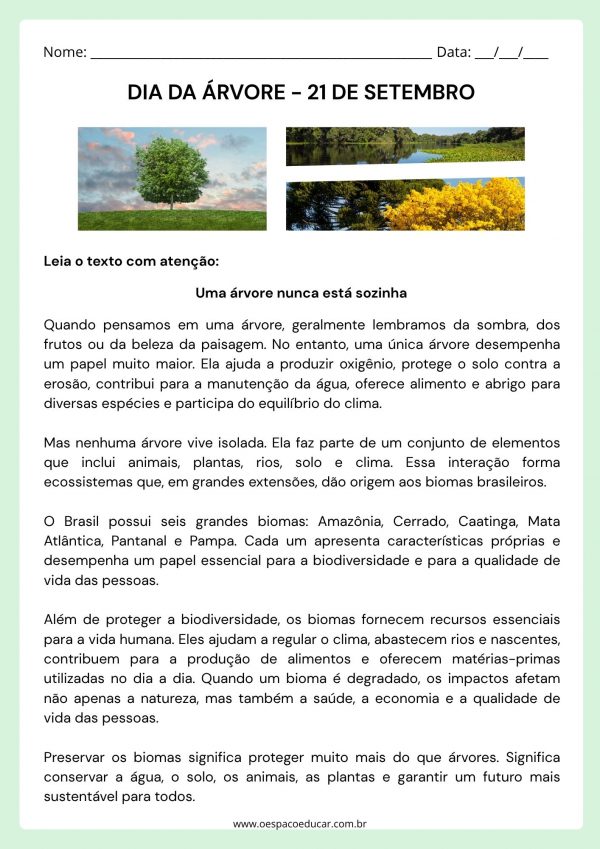 Dia da árvore: texto informativo!